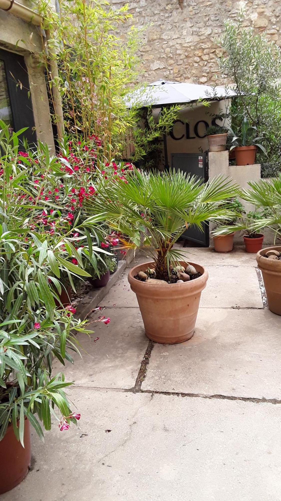 טרסקון Le Clos Du Rouet מראה חיצוני תמונה