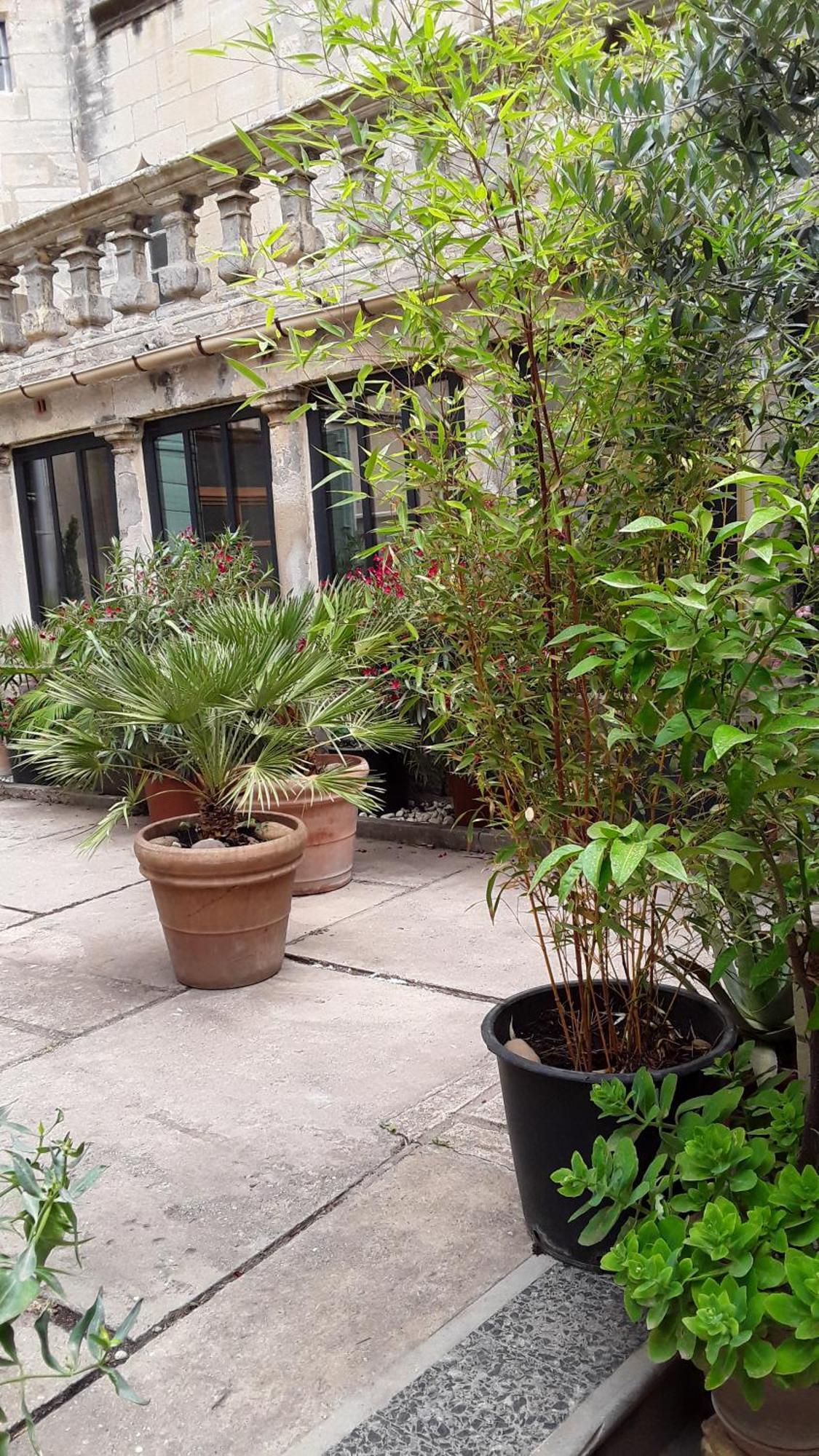טרסקון Le Clos Du Rouet מראה חיצוני תמונה
