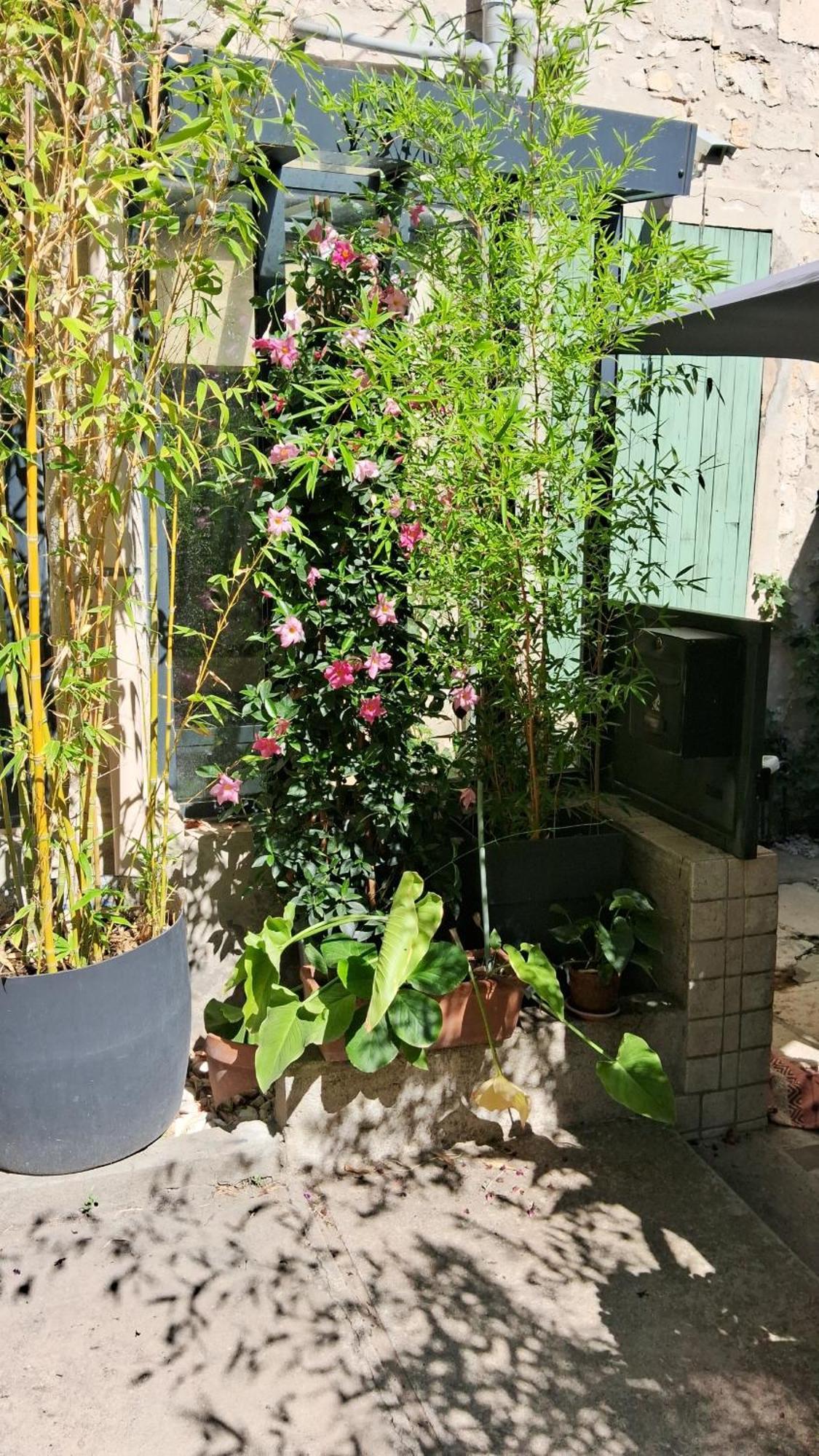 טרסקון Le Clos Du Rouet מראה חיצוני תמונה