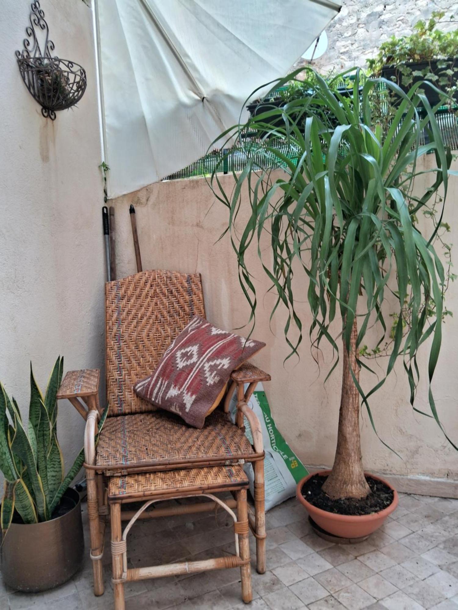 טרסקון Le Clos Du Rouet מראה חיצוני תמונה